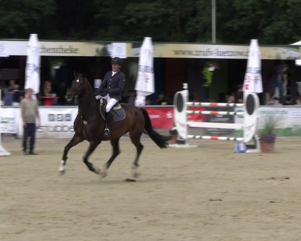 Reitturnier Olfen-Vinnum 2023