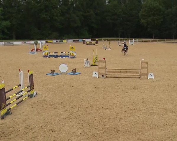 Reitturnier Tiefenhof 2023
