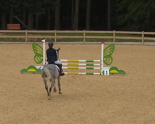 Reitturnier Tiefenhof 2023