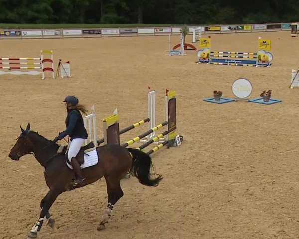 Reitturnier Tiefenhof 2023