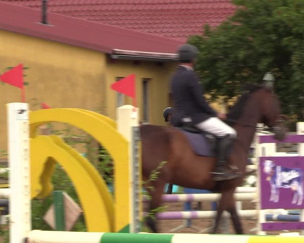 Reitturnier Altlandsberg 2023