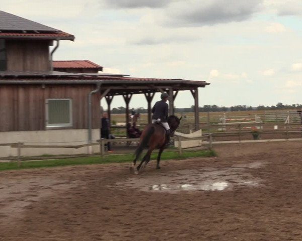 Reitturnier Altlandsberg 2023