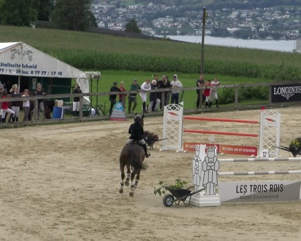 Reitturnier Wädenswil 2023