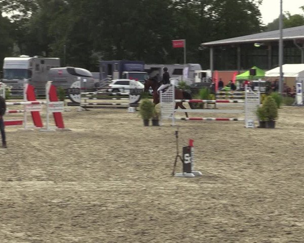 Reitturnier Nettetal-Lobberich 2023