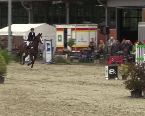 Reitturnier Nettetal-Lobberich 2023