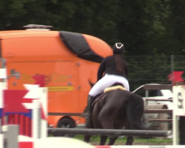 Reitturnier Nettetal-Lobberich 2023