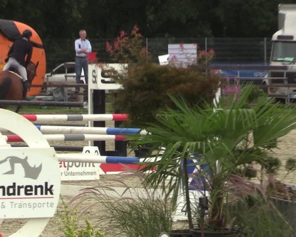 Reitturnier Nettetal-Lobberich 2023