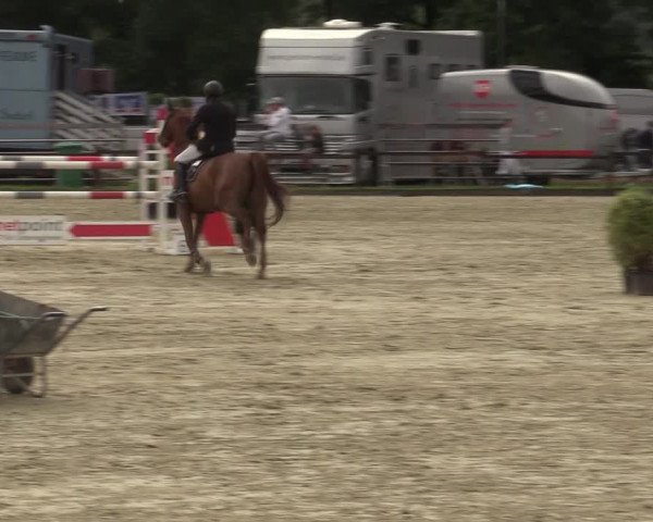 Reitturnier Nettetal-Lobberich 2023