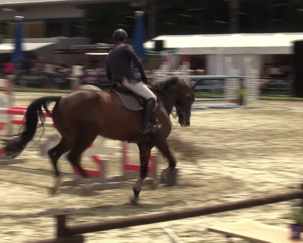 Reitturnier Nettetal-Lobberich 2023