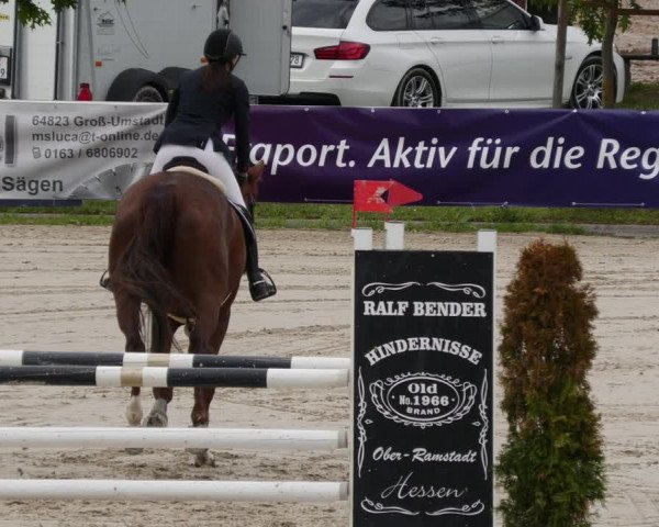 Reitturnier Groß-Zimmern 2023