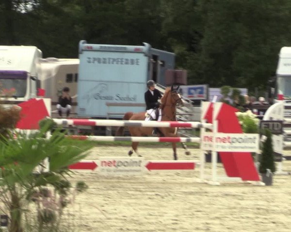 Reitturnier Nettetal-Lobberich 2023