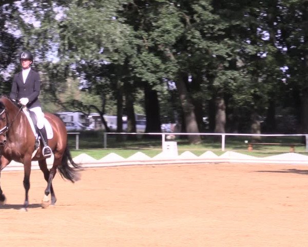 Reitturnier Zobbenitz 2023