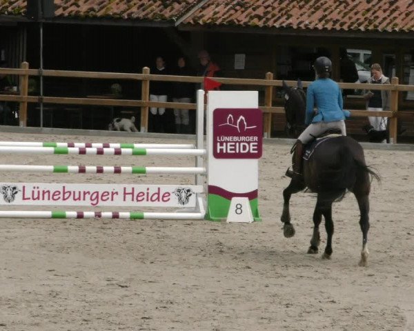 Reitturnier Alvern 2023