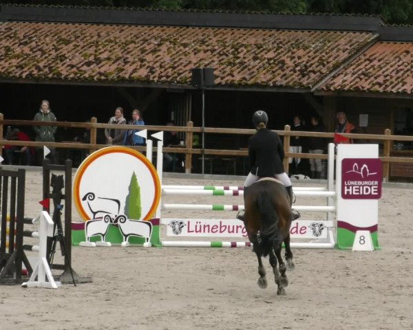 Reitturnier Alvern 2023