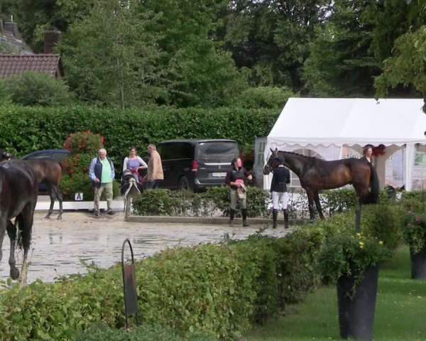 Reitturnier Olfen-Vinnum 2023