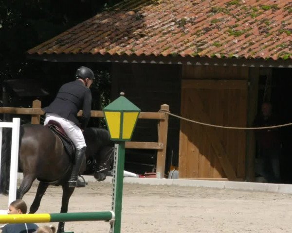 Reitturnier Alvern 2023