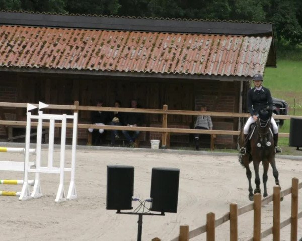 Reitturnier Alvern 2023