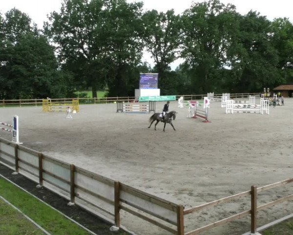 Reitturnier Alvern 2023