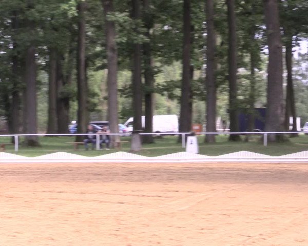 Reitturnier Zobbenitz 2023