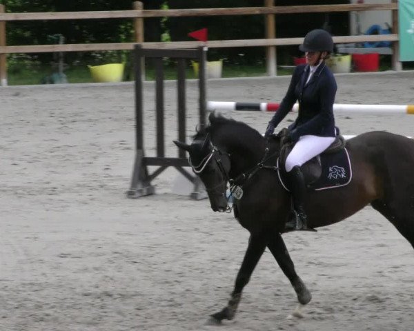 Reitturnier Alvern 2023