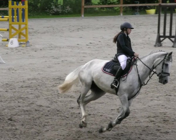 Reitturnier Alvern 2023
