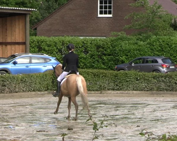 Reitturnier Olfen-Vinnum 2023