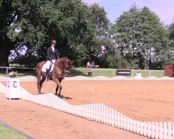 Reitturnier Zobbenitz 2023