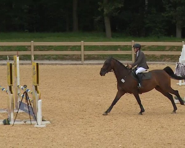 Reitturnier Tiefenhof 2023