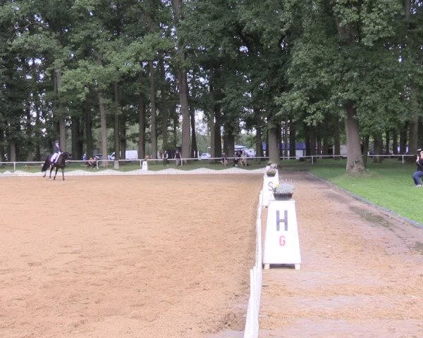 Reitturnier Zobbenitz 2023