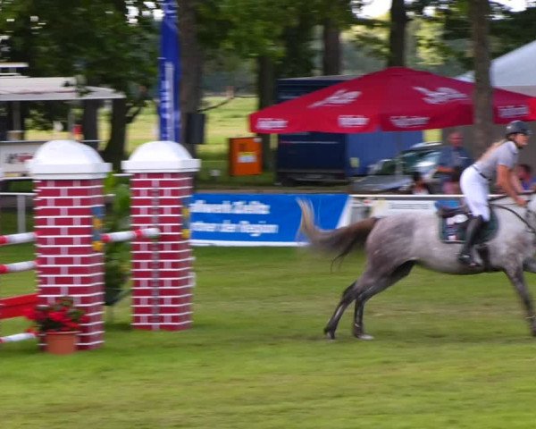 Reitturnier Zobbenitz 2023