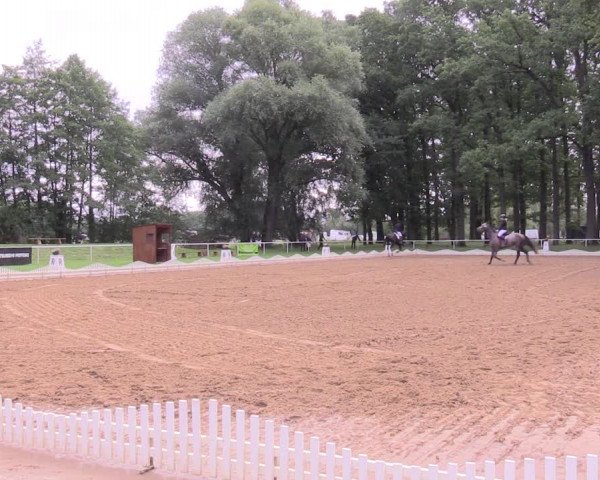 Reitturnier Zobbenitz 2023