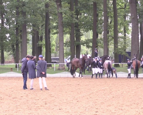 Reitturnier Zobbenitz 2023
