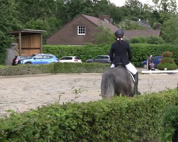 Reitturnier Olfen-Vinnum 2023