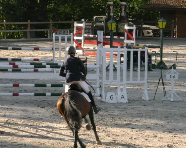 Reitturnier Alvern 2023