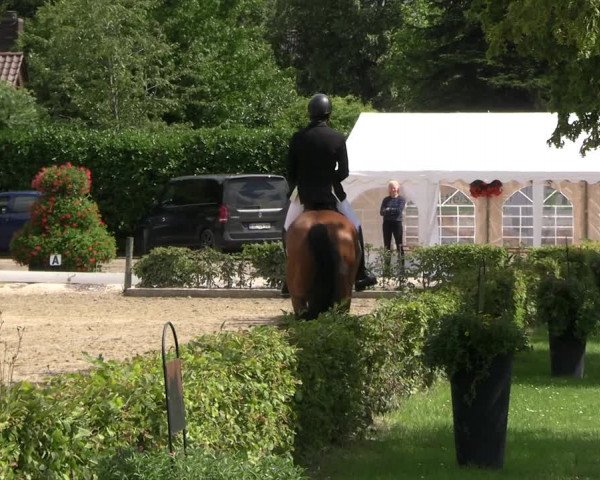 Reitturnier Olfen-Vinnum 2023