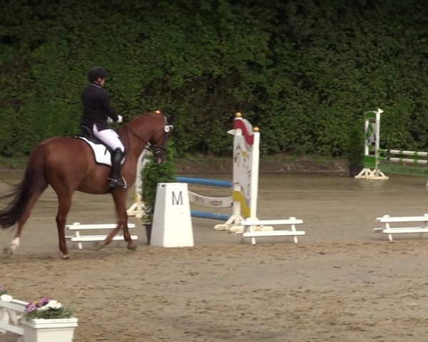 Reitturnier Arnsberg-Holzen 2023