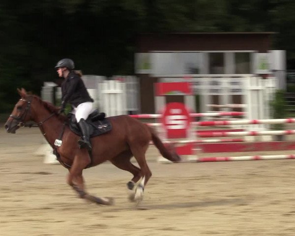 Reitturnier Arnsberg-Holzen 2023