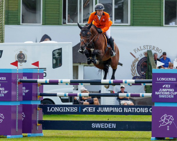 stallion Highway Tn N.O.P. (KWPN (Royal Dutch Sporthorse), 2012, from Eldorado van de Zeshoek)