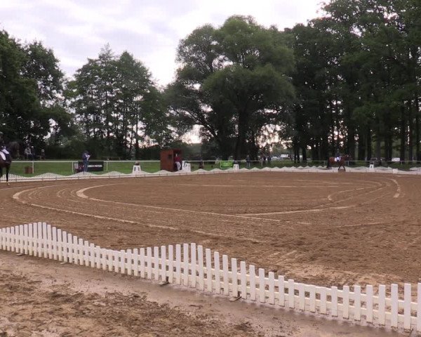 Reitturnier Zobbenitz 2023