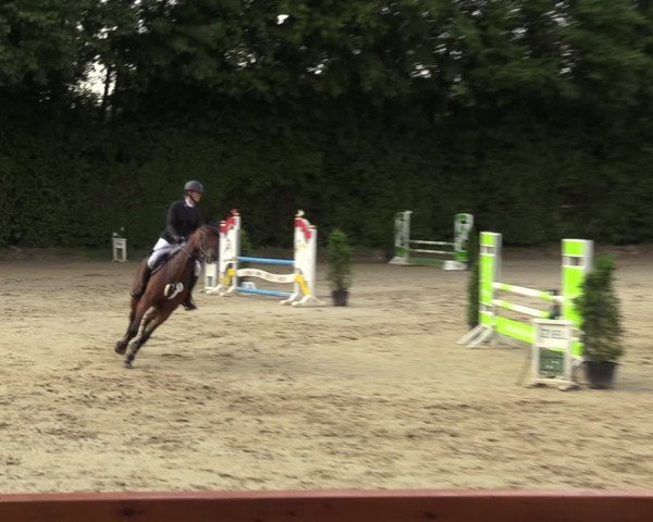 Reitturnier Arnsberg-Holzen 2023