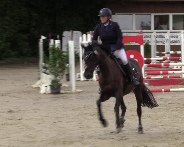 Reitturnier Arnsberg-Holzen 2023