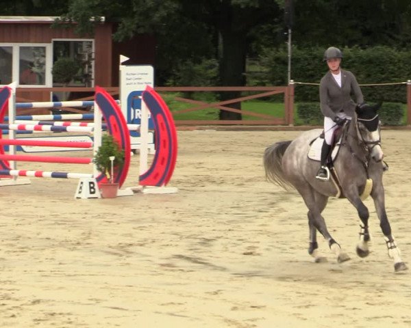 Equus Colonius - Reitanlage Brüse Köln 2021