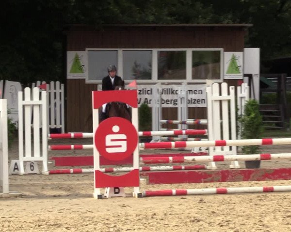 Reitturnier Arnsberg-Holzen 2023
