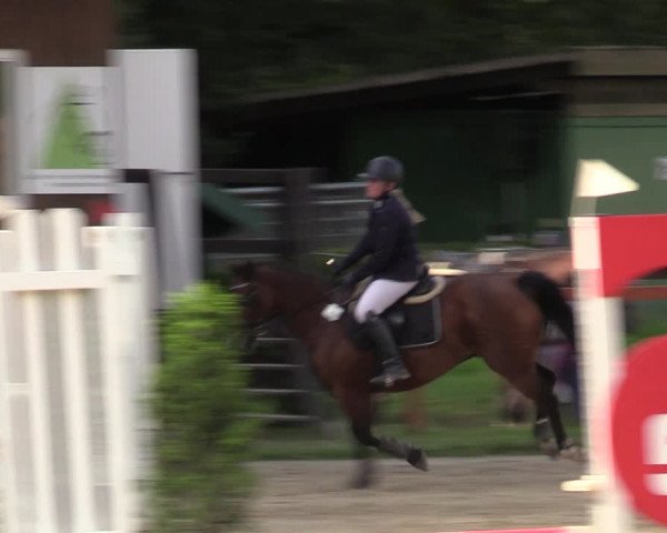 Reitturnier Arnsberg-Holzen 2023