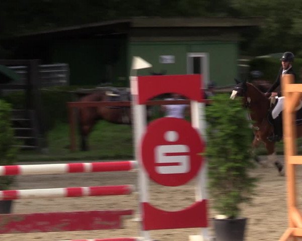 Reitturnier Arnsberg-Holzen 2023