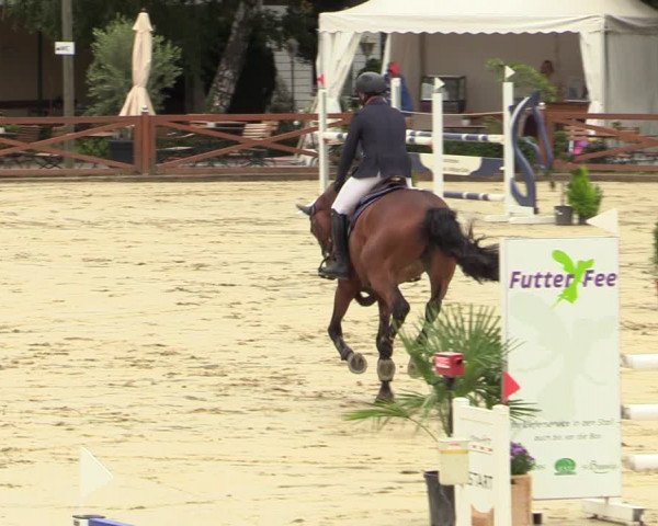 Equus Colonius - Reitanlage Brüse Köln 2021