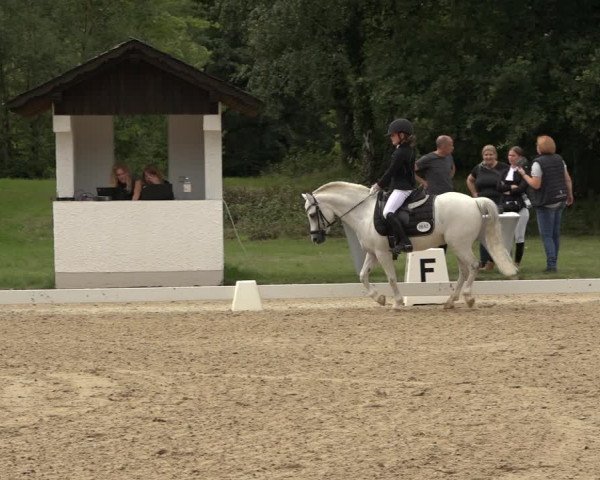 Reitturnier Niederzeuzheim 2023