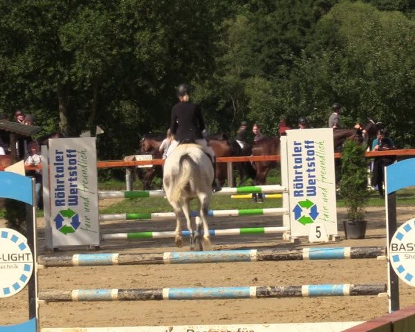 Reitturnier Arnsberg-Holzen 2023