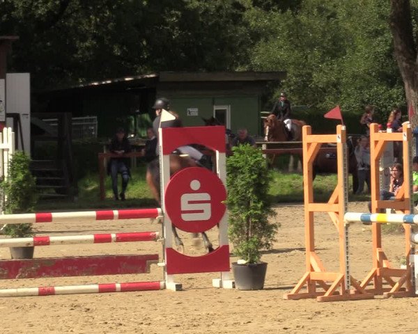 Reitturnier Arnsberg-Holzen 2023