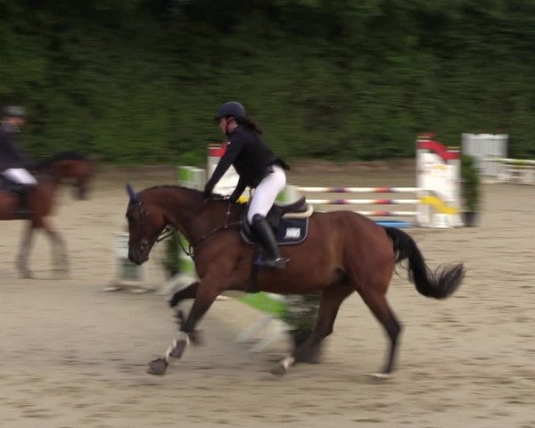Reitturnier Arnsberg-Holzen 2023